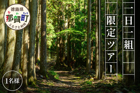 【橋本山林】一日一組限定ツアー（1～9月）1名様 【徳島県 那賀町 ツアー イベント 現地体験型 体験 旅行 グループ 限定 仲間 社員研修 環境学習】NM-11