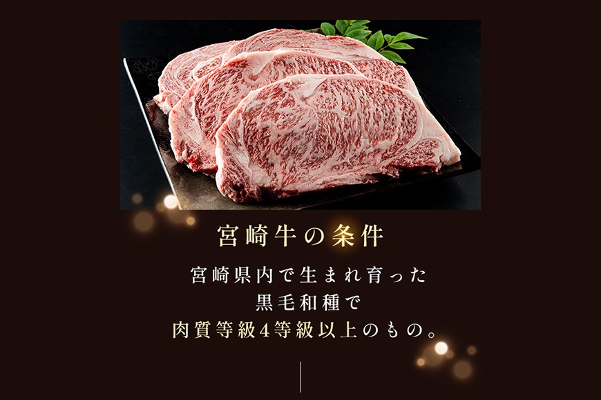定期便全6回 宮崎牛定期便Bセット ミヤチク