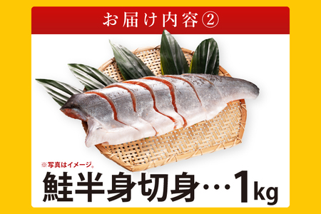 お魚詰合せAセット （ 干物 6袋 鮭切身 1kg 焼魚 煮魚 7パック ）_AB016