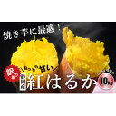 【ふるさと納税】さつまいも(べにはるか) 10kg【配送不可地域：離島・北海道・沖縄県】【1592857】