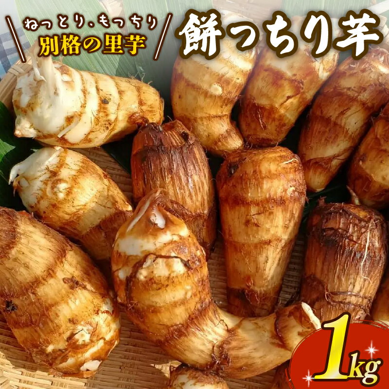 【ふるさと納税】里芋 「餅っちり芋」 新鮮 採りたて 1kg 令和7年産 先行受付 栽培期間中農薬不使用 希少 在来種 さといも サトイモ 芋 イモ いも 特産品 野菜 つぐちゃん畑 新潟 新潟県 新発田産 新発田市 tsuguchan003