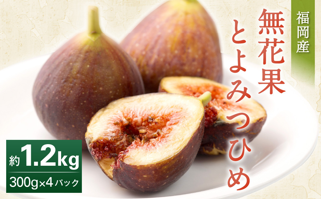 
                  福岡県産 無花果 とよみつひめ 300g×4パック 合計1.2kg いちじく いちぢく フルーツ 果物 国産【2026年8月上旬～10月下旬発送予定】
                