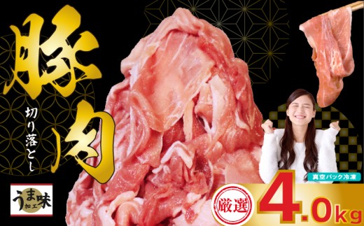 国産 豚肉 スライス 4kg 冷凍 真空 小分け 400g × 10パック 便利 国産 豚 2kg 切り落とし ブタ 肉 スライス 大容量 焼き肉 お肉 家族 ギフト プレゼント 年末 年始 生姜焼き 味噌漬け 肉味噌 豚味噌 焼肉 惣菜 おかず BBQ 夕食 大人気 福岡 川崎