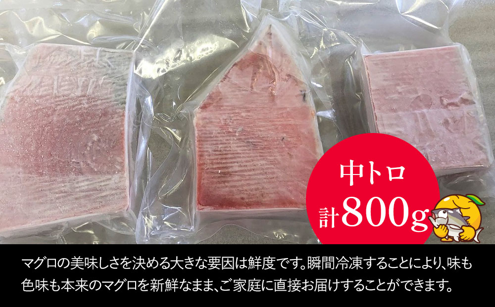 本まぐろ お刺身用 中トロ5人前(800g) 鮪 海鮮丼 刺し身 刺身 盛り合わせ 冷凍 魚の刺身 大分県産 九州産 津久見市 熨斗対応
