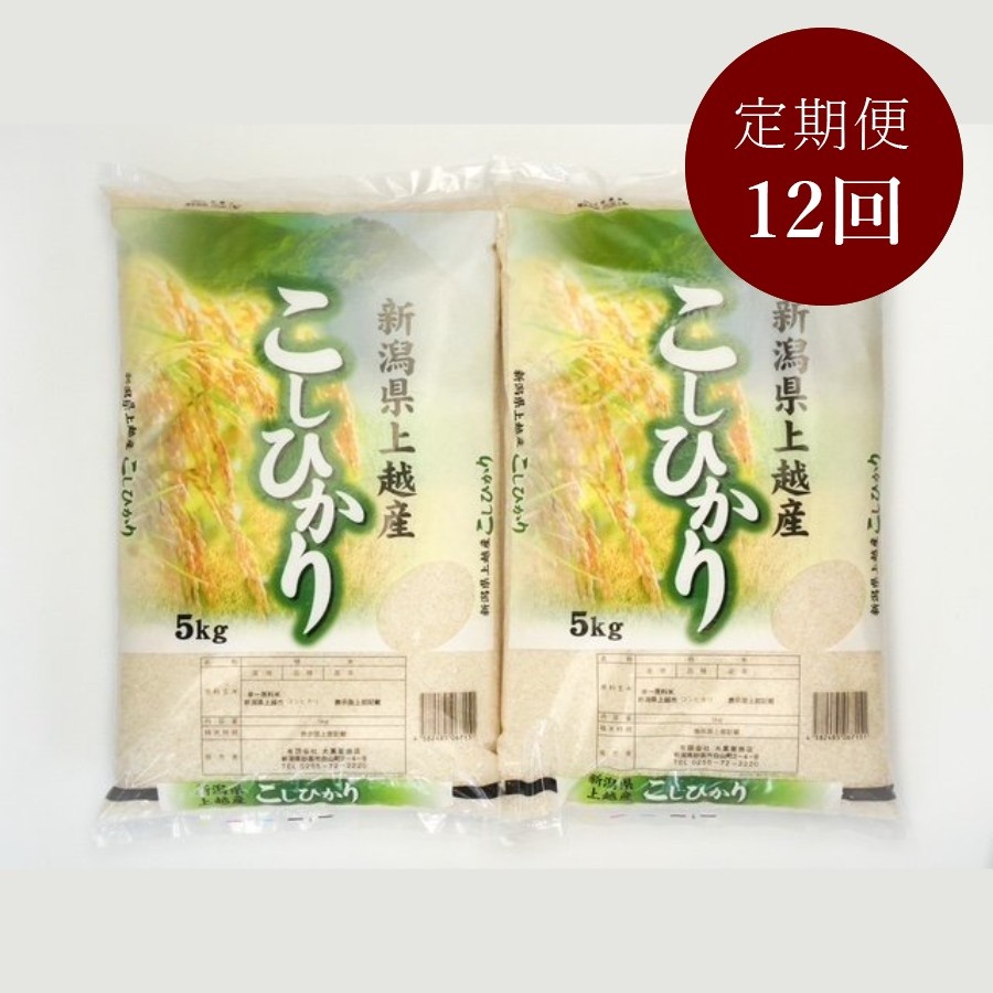 新潟県上越産コシヒカリ5kg×2 定期便12回