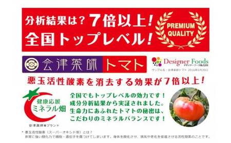 15-L　フローライシダ　会津薬師トマト　4kg×2箱（14・16・18・20ケ入　玉数お任せ） ※2026年6月～発送