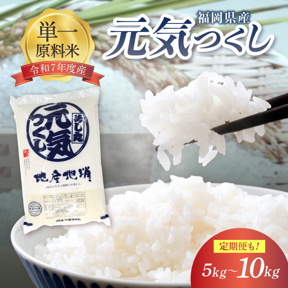 【ふるさと納税】令和7年産 JAよりお届け！福岡県ブランド米「元気つくし」5kg 10kg 1回 6回 12回 【ほたるの里】 ふるさと納税 米 定期便 上位等級米