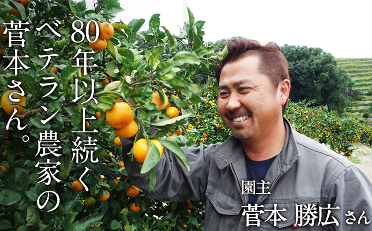 『菅本果実園』のみかん★約5kg(2S-Lサイズ) 《11月中旬-12月末頃出荷》 フルーツ 秋 旬★熊本県玉名郡玉東町 全国にファン多数！エコファーマー菅本さんのみかん♪『菅本果実園』