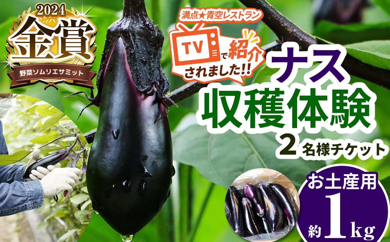 
ナスの収穫体験チケット2名様 真岡市 栃木県 送料無料
