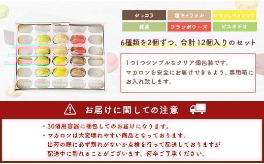 【2025年8月発送】 一流パティシエが認めるホテル使用品 お試し マカロン セット 12個（6種類×2個）冷凍 スイーツ デザート とろとろ 洋菓子 【選べる配送月】