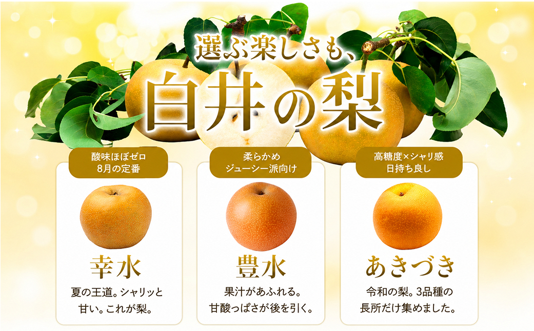 【2027年発送先行予約】 幸水3kg 贈答用