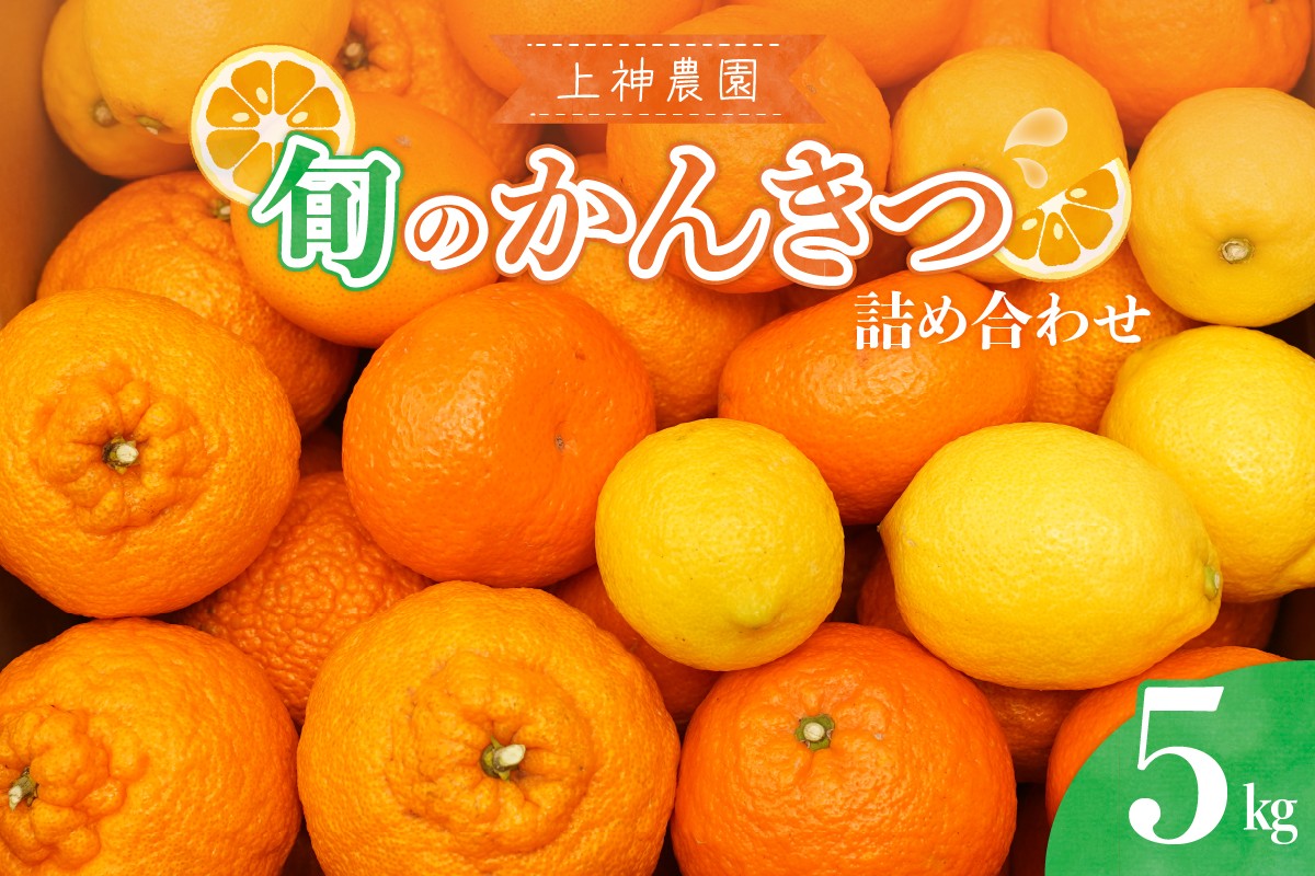 
                  【先行受付】 【2026年11月中旬～発送】 上神農園 旬の柑橘詰め合わせ 約5kg 産地直送 かんきつ 甘い 果物 蜜柑  ku011-033-26
                