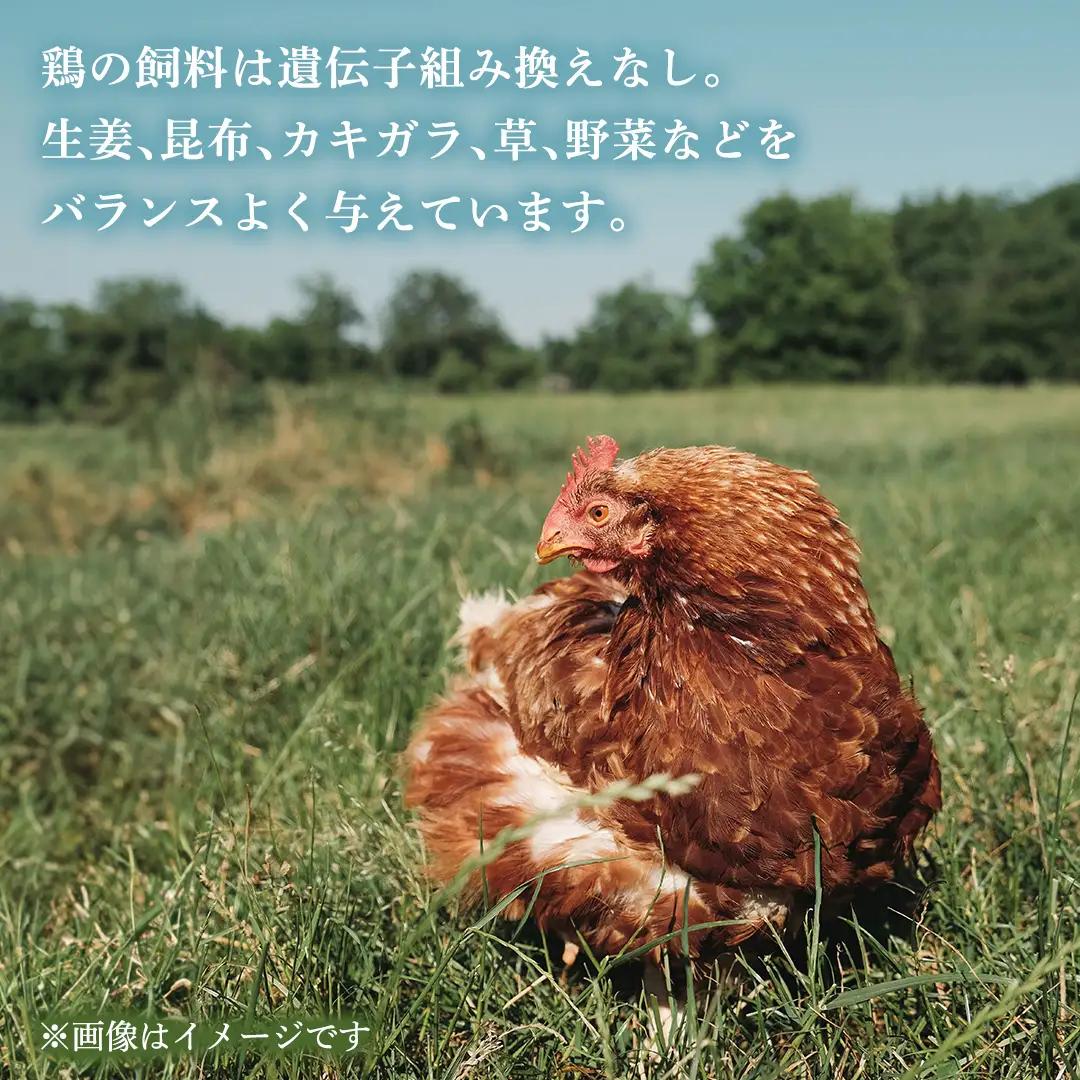 枝さんちのたまご(M～L20個) 産地直送  餌にこだわり 平飼いでのびのび育った卵 卵 非遺伝子組換え 7000 [BT001sa]