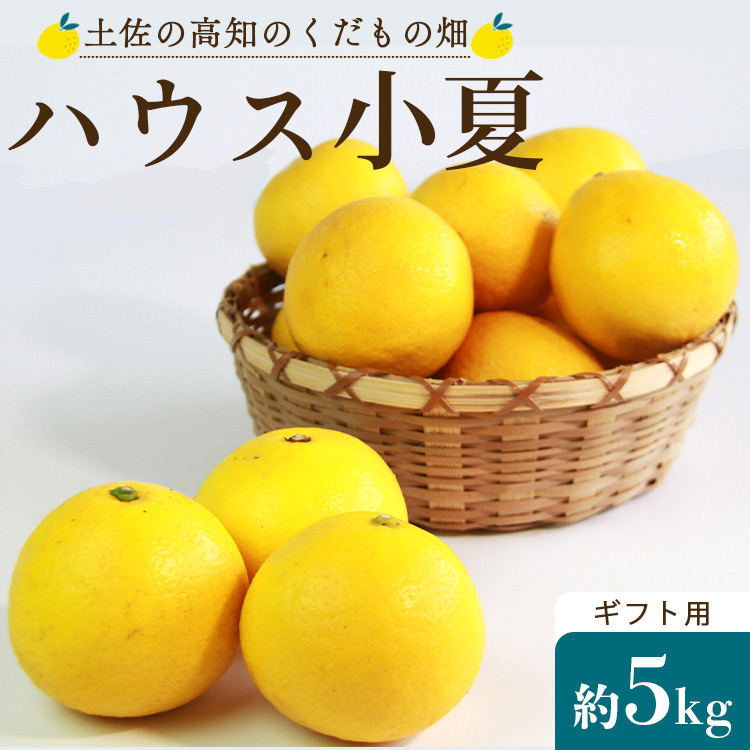 【先行予約】ハウス小夏 約5kg（ギフト用）- 日向夏 ニューサマーオレンジ 柑橘 果物 くだもの フルーツ こなつ おいしい 国産 贈答用 お礼 御礼 感謝 果汁 甘い 瑞々しい みずみずしい フレッシュ 爽やか さわやか 国産 送料無料 土佐の高知のくだもの畑 高知県 香南市 kd-0010