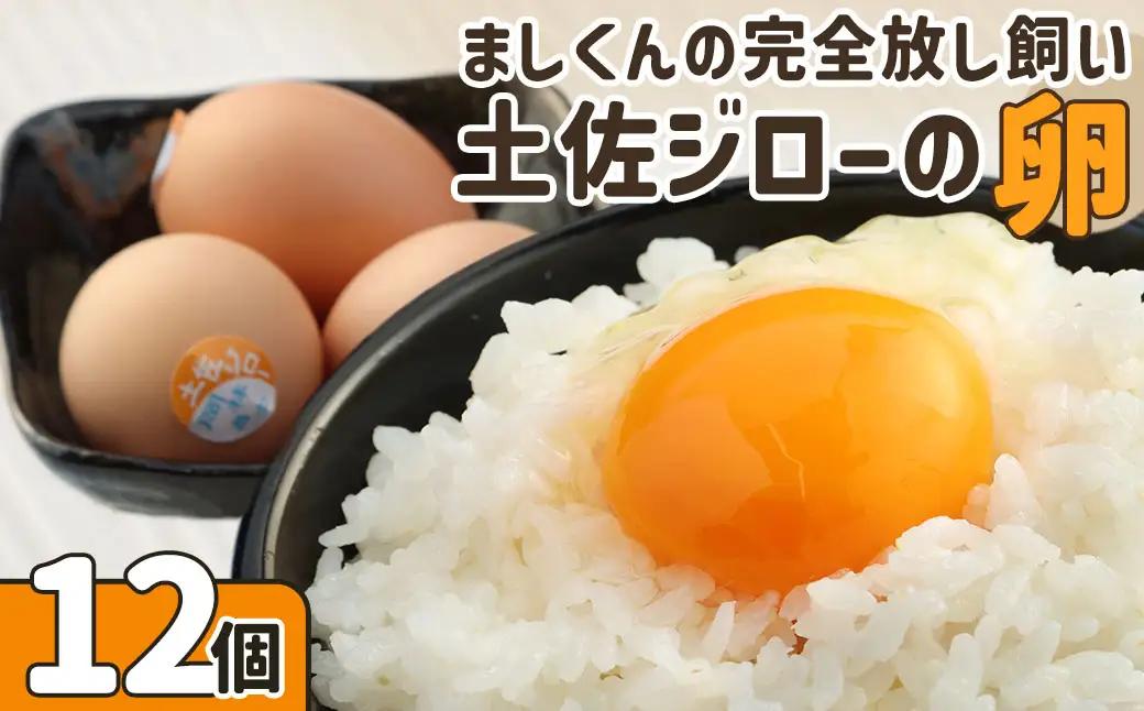 ましくんの完全放し飼い土佐ジロー卵（12個入り） 【R00176】