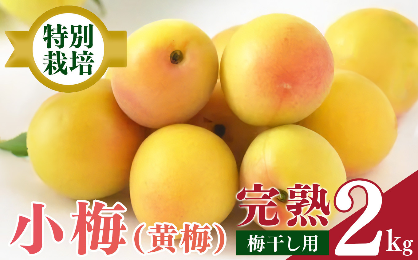
                  【堀内果実園】特別栽培・大切に育てた小梅（2kg）
                