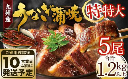 九州産 うなぎ蒲焼 特特大5尾 (1尾あたり250～266g) 合計：1.2kg以上【順次発送】