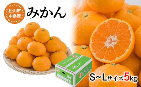 【発送は11月中旬から】 中島産 みかん S～L サイズ 5kg （ 国産 愛媛みかん 愛媛蜜柑 愛媛ミカン みかん ミカン mikan 蜜柑 柑橘 フルーツ 果物 くだもの お取り寄せ 産地直送 数量限定 人気 おすすめ 愛媛県 松山市 送料無料 フジ・アグリフーズ ）【FA0141】