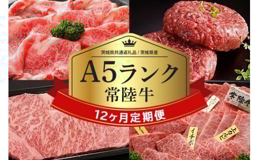 【1年定期便】 A5ランク常陸牛 年間定期便 すき焼き すき焼 しゃぶしゃぶ ハンバーグ サーロインステーキ ローストビーフ 焼き肉セット 焼肉 ランプステーキ 和牛 黒毛和牛 【茨城県共通返礼品 / 茨城県産】 58-D