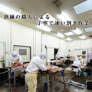 浜名湖産うなぎ　白焼・蒲焼パック各5パック詰合せ【配送不可地域：離島】【1488846】