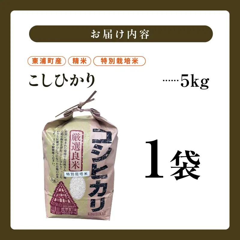 東浦町産　こしひかり　約5kg│米 お米 コメ 白米 精米 新米 愛知県産