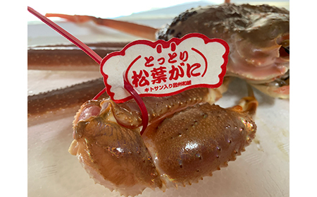 【B-37】鳥取網代港【ブランドタグ付】浜茹で！極上松葉ガニ（大）800g以上【さかなや新鮮組】