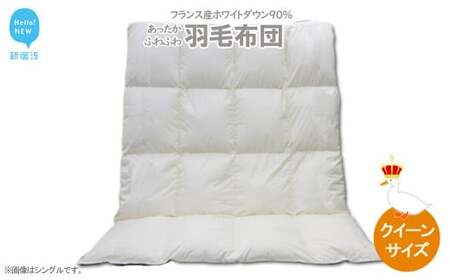 羽毛布団 クイーンサイズ （B-14） フランス産 ホワイトダウン 90％ 抗菌 防臭