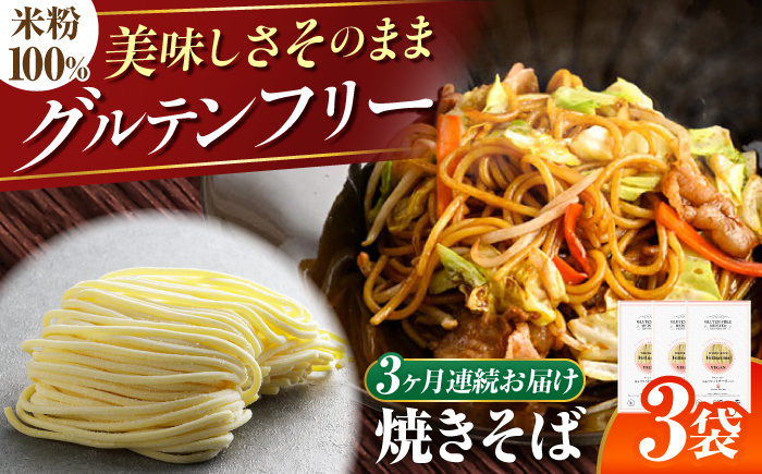 【3回定期便】 【グルテンフリー】 食べごたえ抜群！ 米粉やきそば グルテンフリー 焼きそば 米粉 岐阜市 / 小林生麺 [ANGM028]
