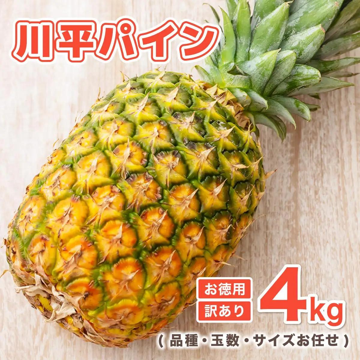パイナップル 川平パイン お徳用訳あり4kg 　KN-6