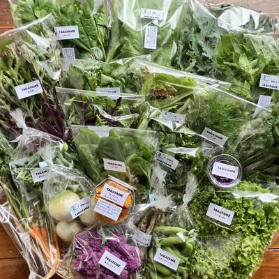 ふるさと納税 さぬき市 【毎月定期便】さぬき市小田産の食を楽しむTAGATAMEのお任せお野菜セット　13品以上全12回 |  | 02