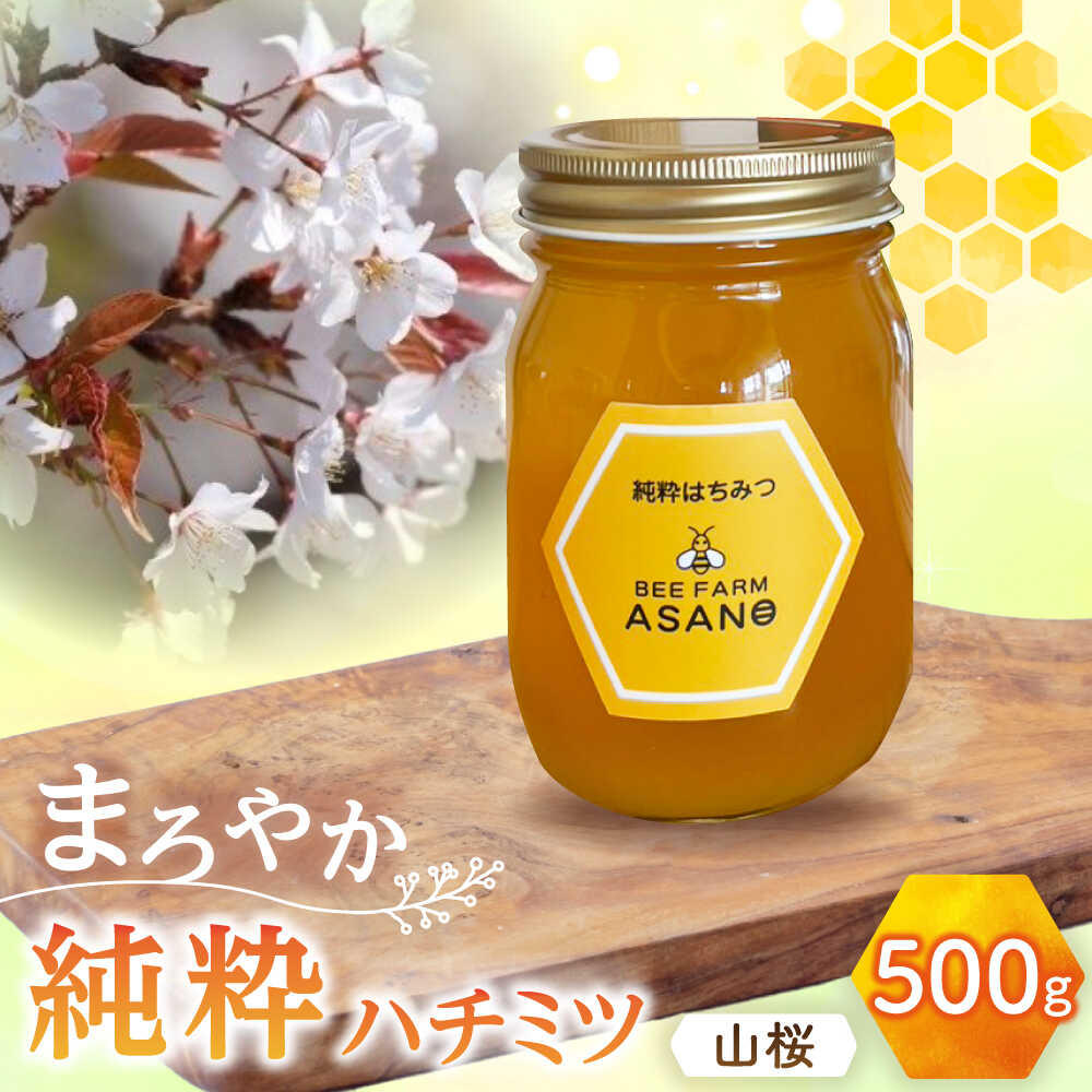 【ふるさと納税】純粋ハチミツ 山桜 500g×1 瑞浪市 / honey shop Bee farm asano 蜂蜜 はちみつ[AZBT008]