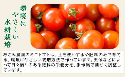 【10】ミニトマトジュース（有塩） ミニトマトジャム