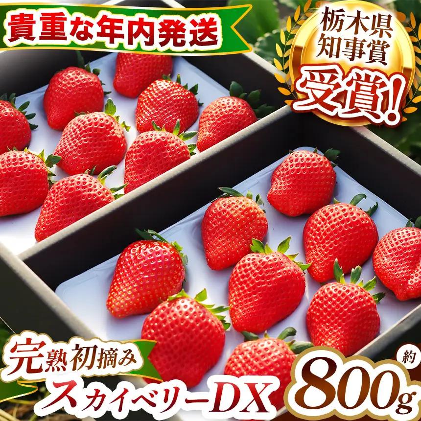 【先行予約】[数量限定] 貴重な12月発送！完熟朝摘みスカイベリー デラックス 800g