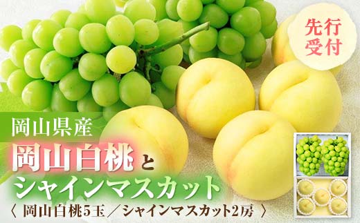 ◆先行受付◆　岡山県産　岡山白桃とシャインマスカット　2024年発送 TY0-0039