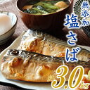 【ふるさと納税】バラ凍結で便利！塩さば（約3kg） 無添加 塩サバ バラ凍結 大容量 鯖 さば お弁当.AB182