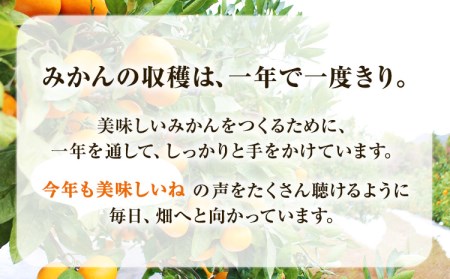 【先行予約】木成り完熟 温州みかんミックスサイズ10kg まるまつ農園《2025年12月上旬-2026年1月末頃出荷》 和歌山県 日高川町 温州みかん みかん 完熟 