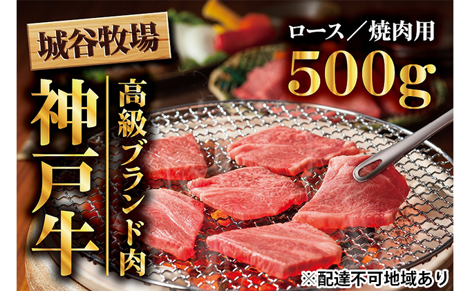 
[№5256-0017]城谷牧場の神戸牛　ロース焼肉用500g
