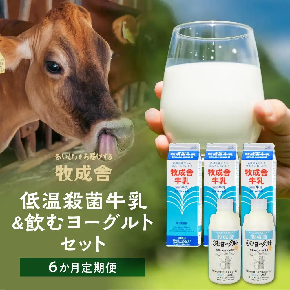 【 6ヶ月 定期便 】飛騨の牛乳屋こだわり（牛乳 3本 飲むヨーグルト 2本 セット）×6回 DF103