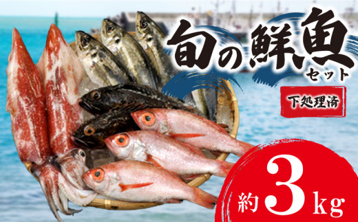 旬 の 鮮魚 ボックス 約 3kg 赤いか のどぐろ アジ 処理済み 詰め合わせ  天然 下処理 済み おまかせ お楽しみ 魚 魚介 旬 春 夏 秋 冬 中元 歳暮 年末年始 下関 山口