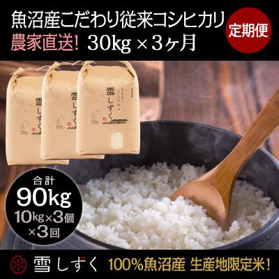 ふるさと納税 十日町市 【毎月定期便】魚沼産こだわり従来コシヒカリ  30kg(10kg×3袋)×3回 合計90kg全3回