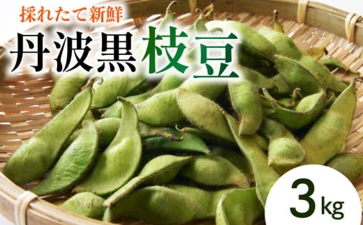 枝豆 3 kg 野菜 丹波黒 枝豆 枝豆 黒大豆 丹波黒 枝豆 旬 採れたて 産地直送 枝豆 おつまみ ヤサイ やさい 食材 新鮮 滋賀県 竜王町 送料無料 竜王産