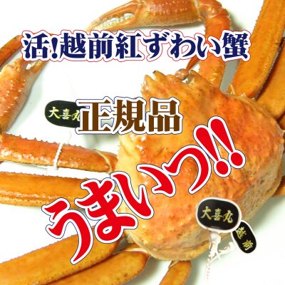 活! 越前 紅ずわいがに × 1杯 旨味満点!! ≪浜茹で≫【6月発送分】【配送不可地域：離島・北海道・沖縄・東北・九州】【1332832】