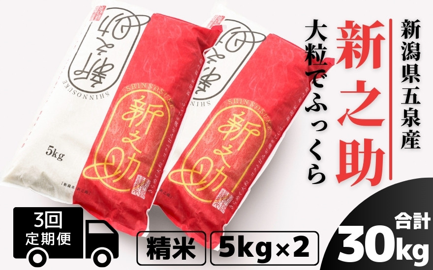 
                  【先行予約】【令和8年産】〈3回定期便〉 新之助 精米 10kg（5kg×2袋）新潟県 五泉市 有限会社ファームみなみの郷
                