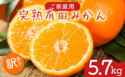 【先行予約】【数量限定】濃厚有田みかん（ご家庭用）5.7kg(5.5kg+200g(傷み補償分)) ※2025年10月上旬～2026年1月下旬頃に順次発送予定 ※北海道・沖縄・離島への配送不可