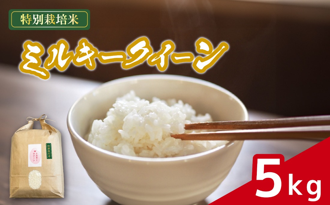 米 ミルキークイーン 5kg 農家直送 特別栽培米 精米 令和7年度産 お米 贈り物 新生活 人気米 ご飯 白米 コメ 贈答 静岡県 藤枝市 