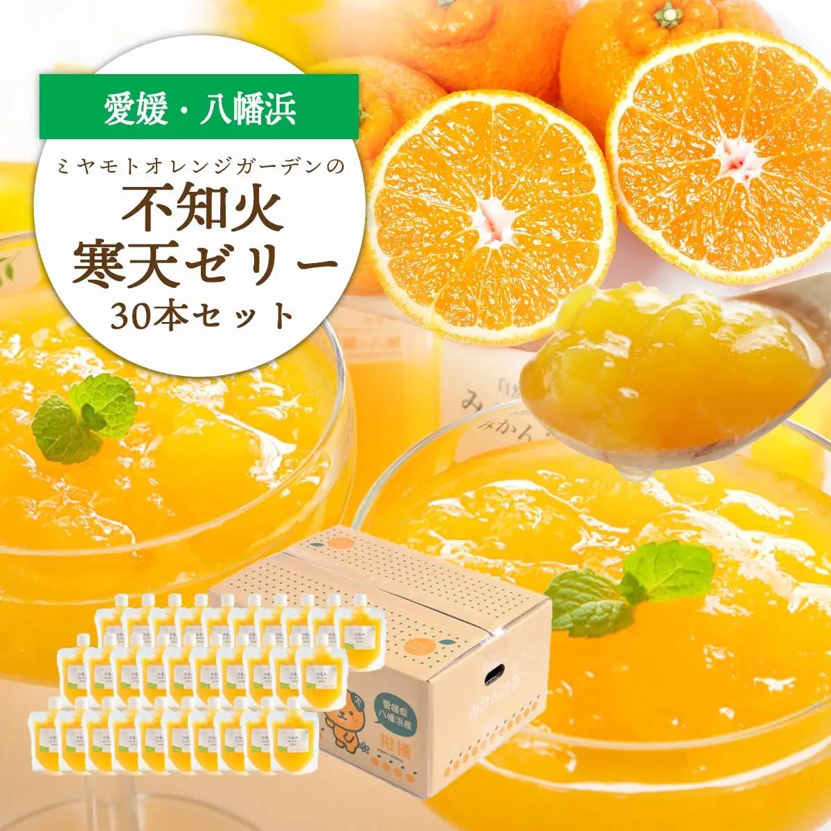 ゲル化剤・pH調整剤不使用!愛媛産 不知火寒天ゼリー 30本セット【H25-236】【1630014】 YWTAP177