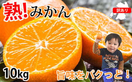 訳あり みかん 計10kg ミカン 蜜柑 果物 くだもの フルーツ 柑橘 【2026年10月上旬～2027年3月上旬発送予定】