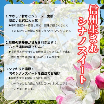 【2025年先行受付】長野直送!信州八ヶ岳のりんごシナノスイート約5kg(12～18玉)蓼科高原【配送不可地域：離島】