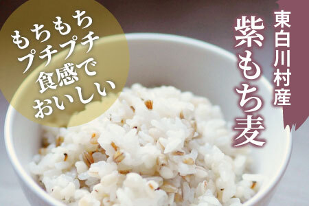 【令和7年度産】 東白川村産 紫もち麦 ダイシモチ 150g×3袋 計450g お米 こめ もち麦 雑穀 精米 ご飯 お取り寄せ