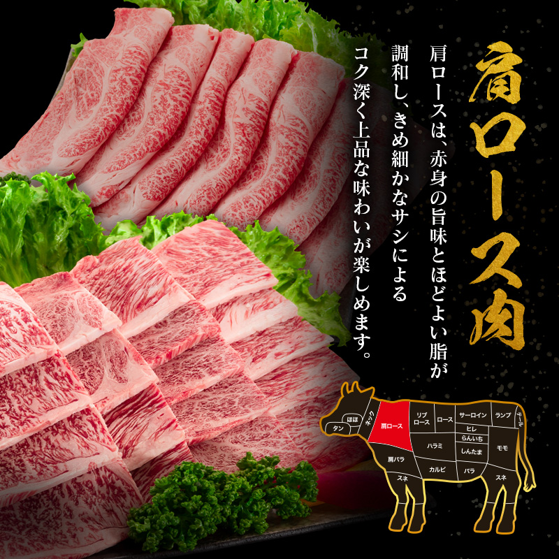 《宮崎牛》プレミアム定期便 全3回 肩ロース 牛モモ ロースステーキ 焼肉 スライス 黒毛和牛【E272】_イメージ2